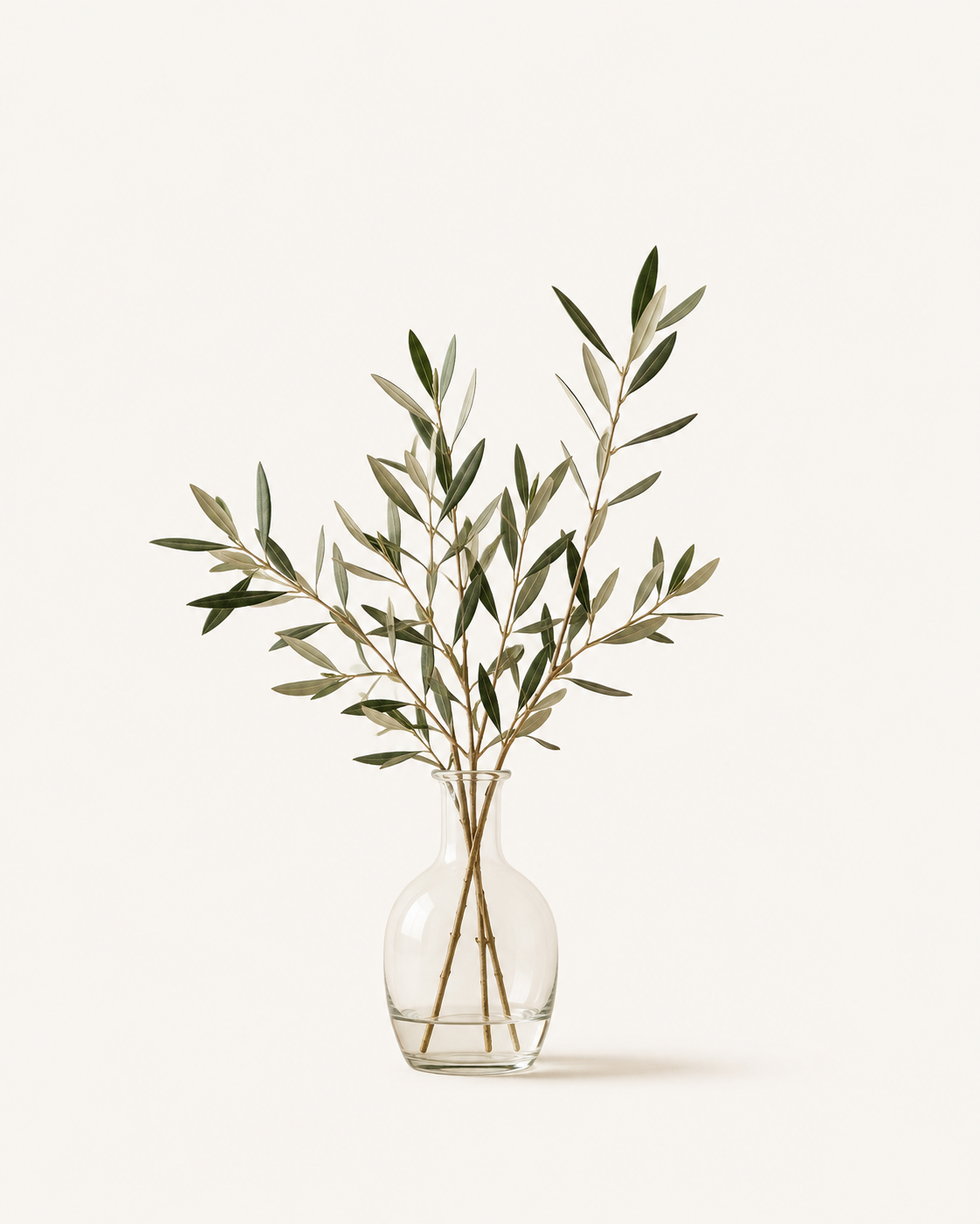 olive branches vase